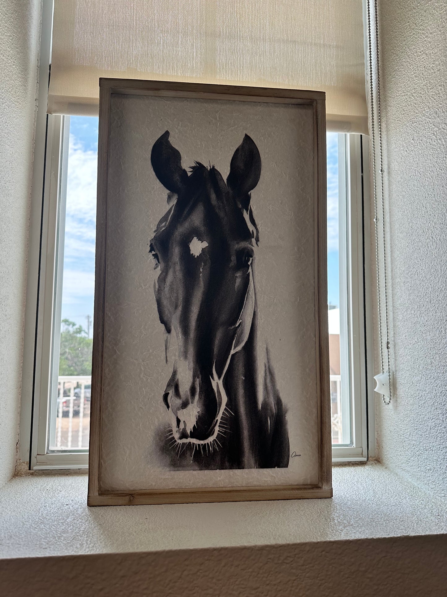 Horse Canvas